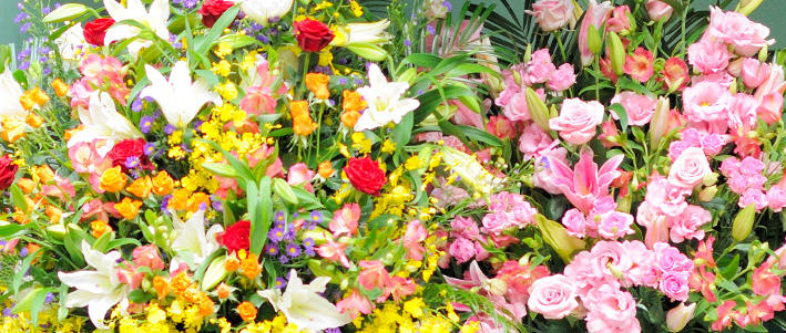 2月がお誕生日の方に贈りたい花 知って得する お花や観葉植物を贈る時の役立つアレコレ情報 ビジネスフラワー
