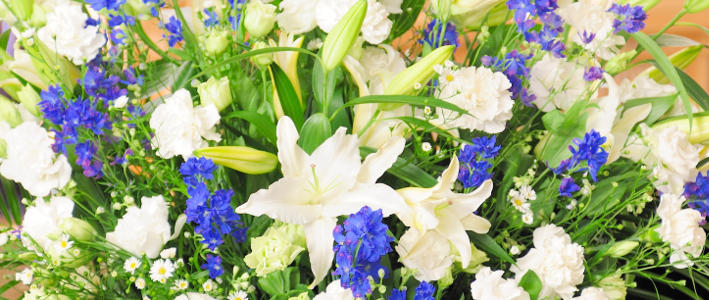 初七日の供花としてお花を贈りたいなら 知って得する お花や観葉植物を贈る時の役立つアレコレ情報 ビジネスフラワー