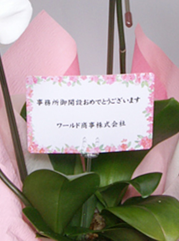 祝い花と供花のメッセージカードの書き方やマナーとは