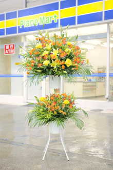 格安 高級スタンド花や胡蝶蘭を値段で選ぶ祝い花と供花です