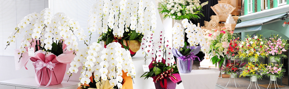 祝い花と供花を全国無料宅配する花屋 フラワーショップです