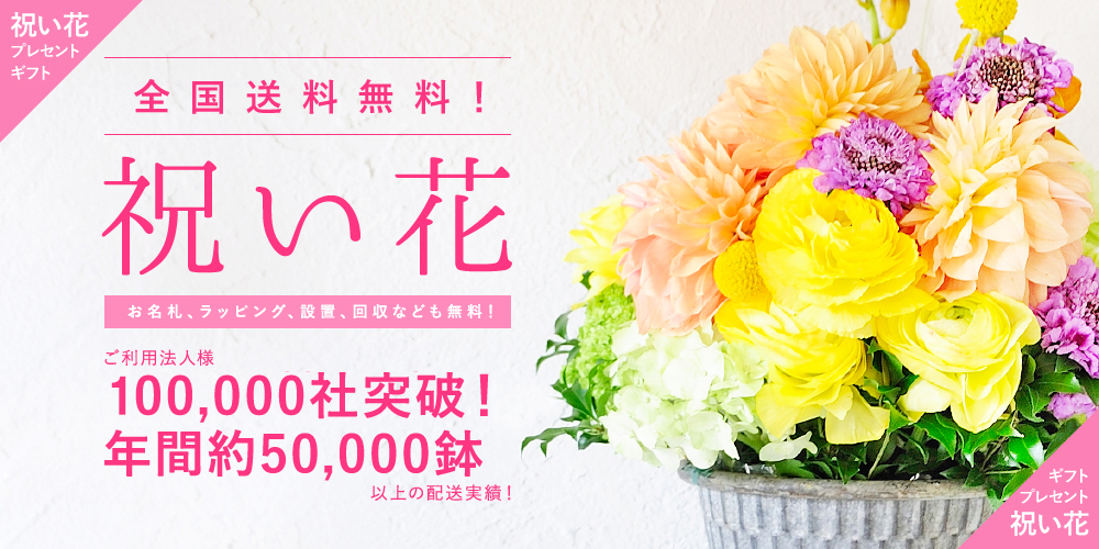 祝い花と供花の販売 ネットの花屋 ビジネスフラワー®｜開店祝い、開業