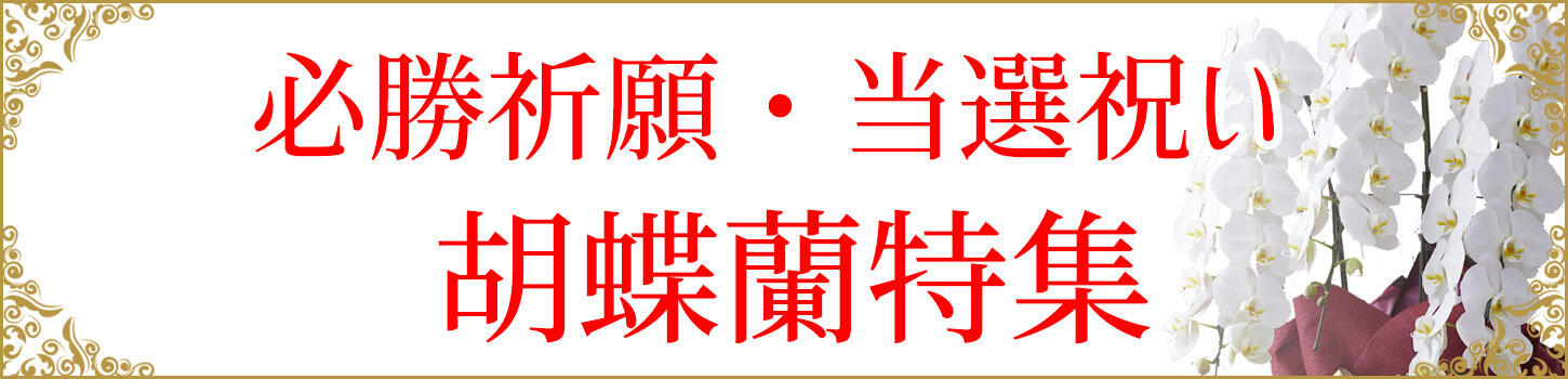 祝い花と供花の販売　ネットの花屋　ビジネスフラワー®　｜お祝い事 上場・当選祝い