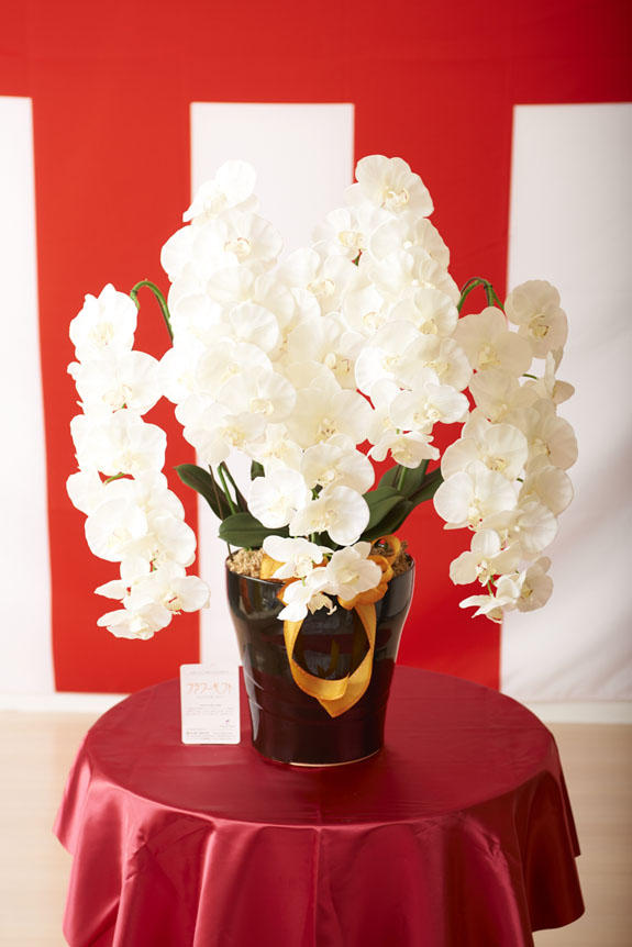 <p>様々な御祝いギフトにぴったりな造花アート・アレンジメント　プレミアム胡蝶蘭5本立W</p>