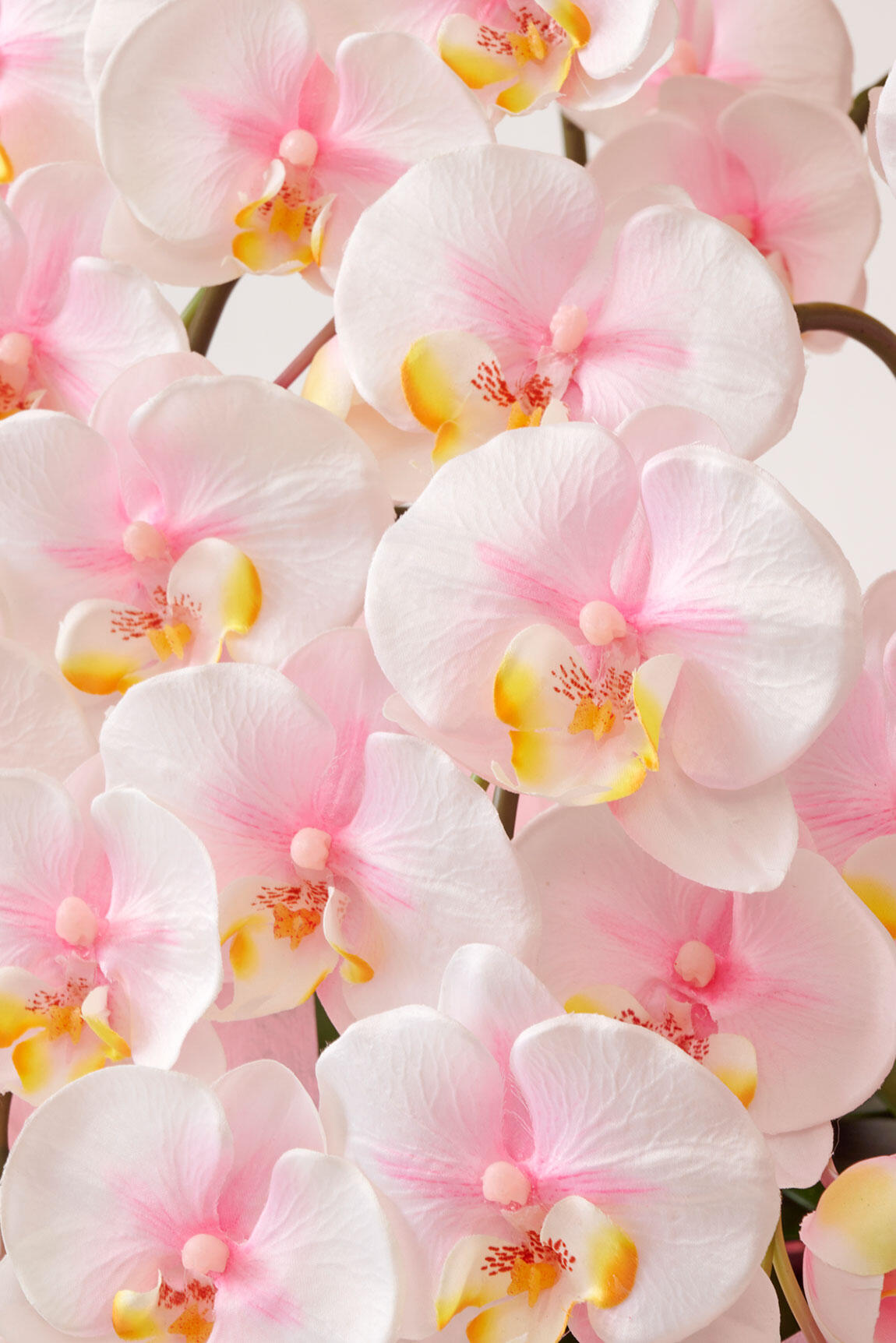 <p>造花の商品ですが、花の感じ、根っこ、葉なども生花そっくりです。配送中の気温による生花の劣化が懸念される真夏や真冬の贈答品にも適しております。</p>